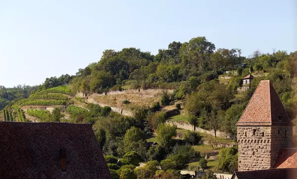 Kloster Maulbronn, Closterweinberg